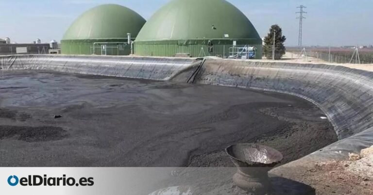 Biogás en Murcia: ¿Solución o coartada para las macrogranjas?